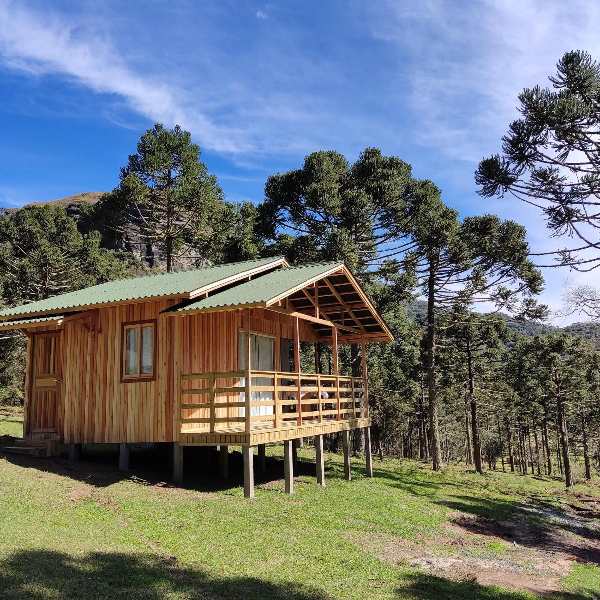 Sitio Caminho Nascentes