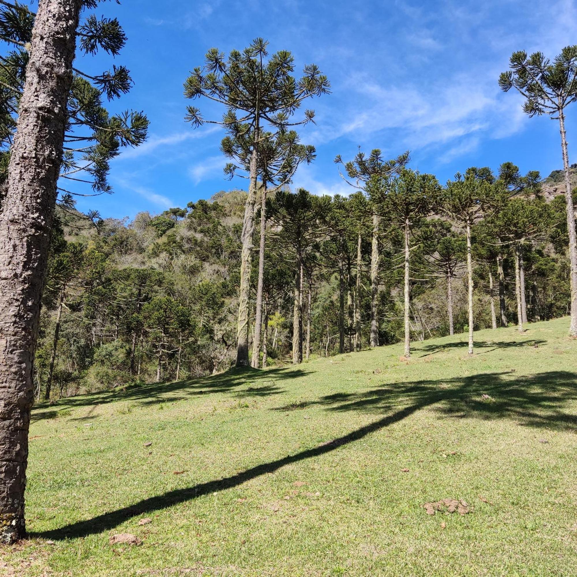 Sitio Caminho Nascentes Urubici